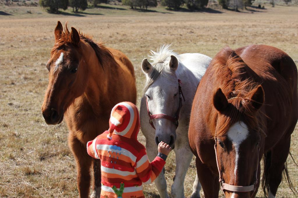 Sevier River Ranch & Cattle Company Hatch Εξωτερικό φωτογραφία